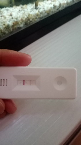 Hamil 8 minggu..