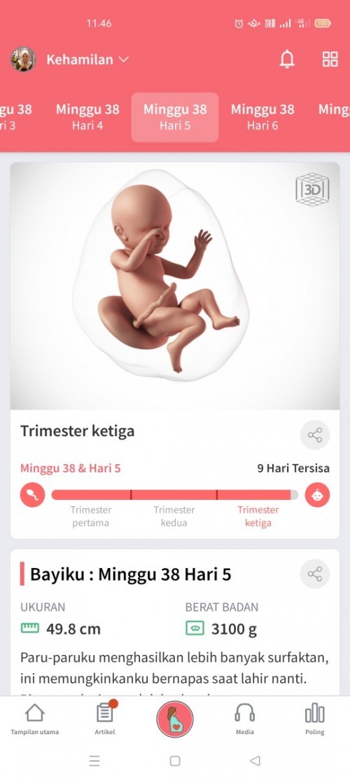 Bismillah Semoga yang sedang menunggu disegerakan😇
