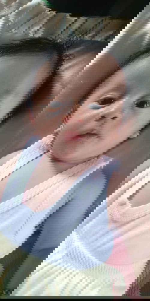 ASI dan Susu formula