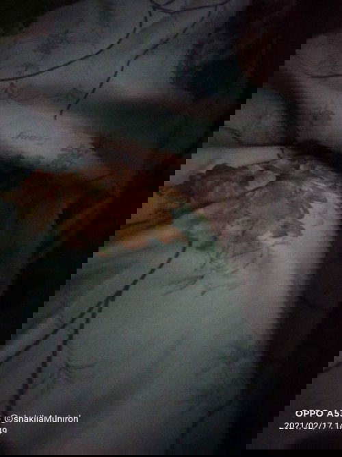 CDR cdr untuk ibu hamil