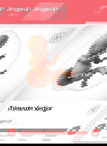 lewat HPL jauh tpi blm lahir juga