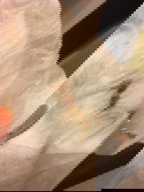 Tolong saya jelaskan saya buntu 😔🥺😩