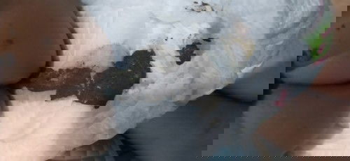 FOTO POOP BAYI!! POOP BAYI!!