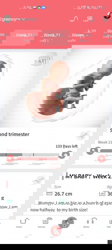 21 Weeks Pregnant