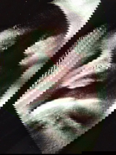 33วีค2วันน้องกลับหัวแล้ว