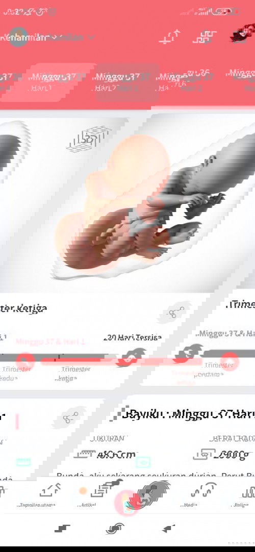 Hitungan hpl beda dengan hitungan usg