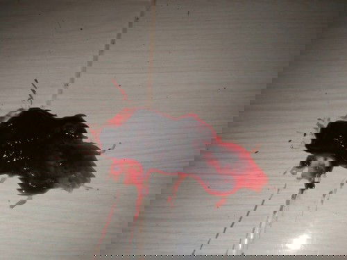 สอบถามแม่ๆหน่อยค่ะ คลอดได้3เดือน