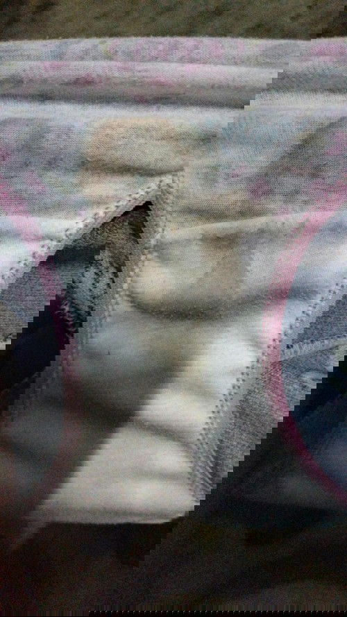 Please answer me guys