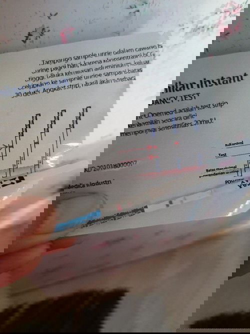 Hasil test pack garis kedua samar