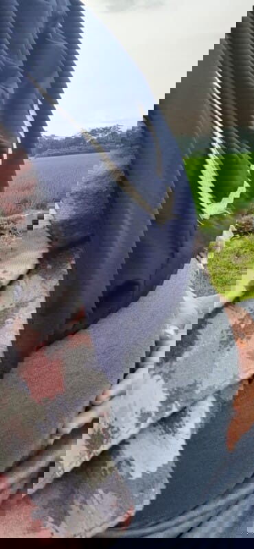 Bun aku lagi hamil anak kembar usia kehamila 21 weeks penasaran nih kira" berat masing janin brpa ya