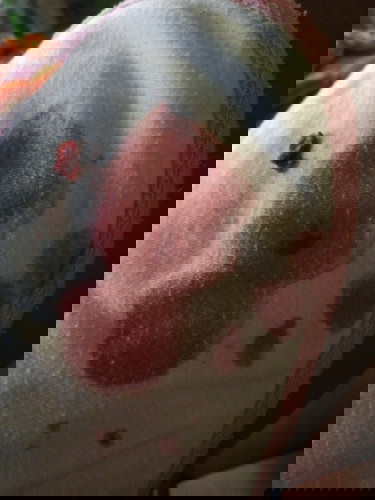 Breastfeeding problem 😔