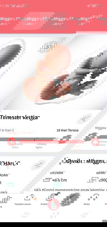 Mendekati Persalinan