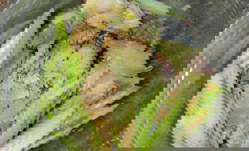 Góc giúp bé dễ thở giảm nghẹt mũi  trong thời tiết lạnh