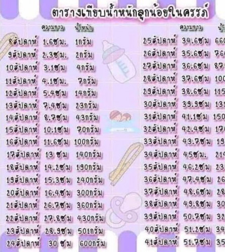 อายุครรภ์16สัปดาห์