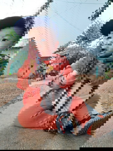gấu