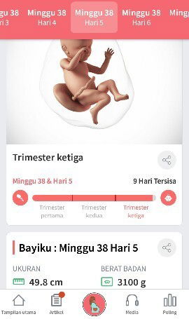 Hpl aplikasi 27fe, hpl bidan 1 maret hpl usg 2maret