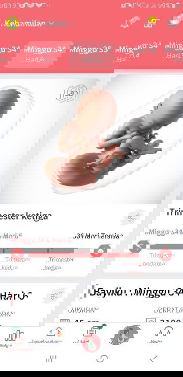 Seminggu lg kandungan 9 bulan