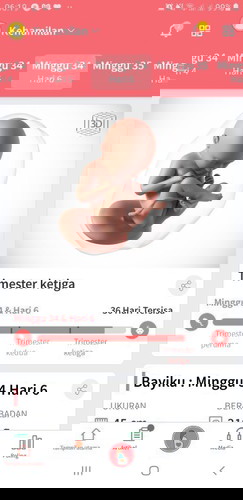 Seminggu lg kandungan 9 bulan
