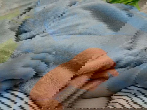 Terlambat imunisasi DPT-HIB 3