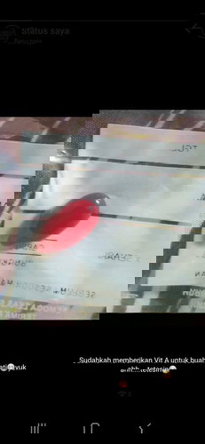 Jangan lupa bulan ini februari untuk memberikan vit A untuk baby ya...