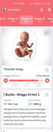 Bismillah