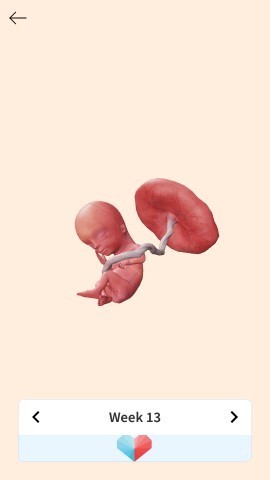 Ceritaku usia hamil 13w