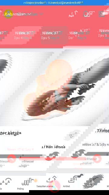 Persiapan persalinan