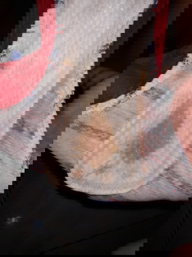 DUE DATE TODAY FEB. 19 ,2021