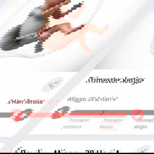 Nunggu lahiran mendekati HPL