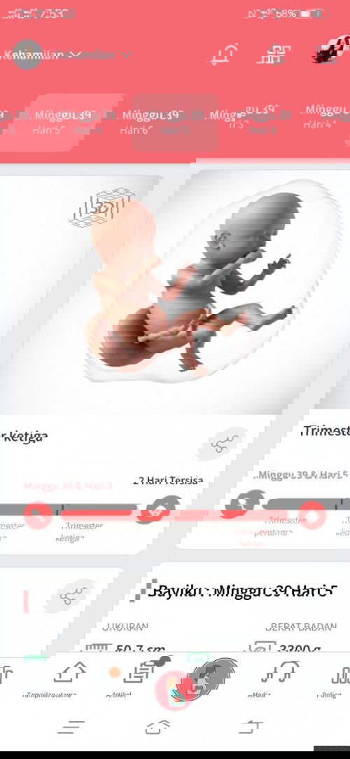 Menunggu gelombang cinta