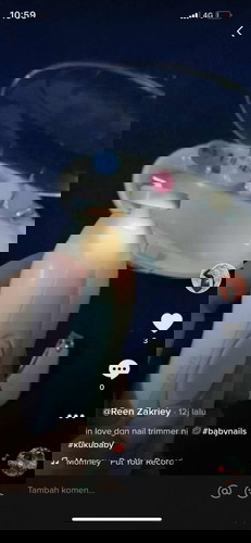 NAIL TRIMMER/KEPIT KUKU