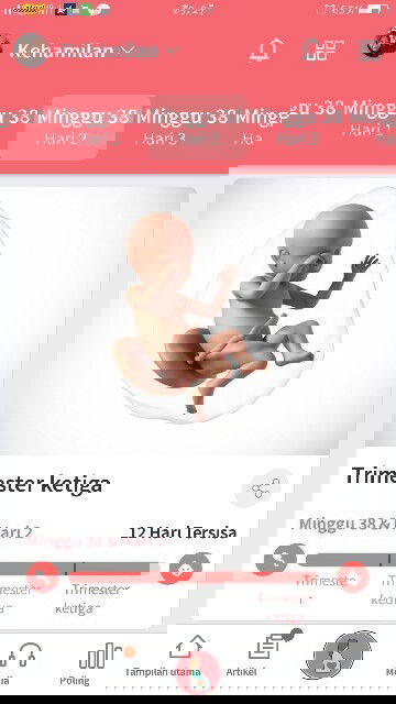 Menanti gelombang cinta sidede utun