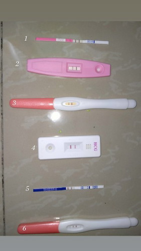 Pregnant or tak ?