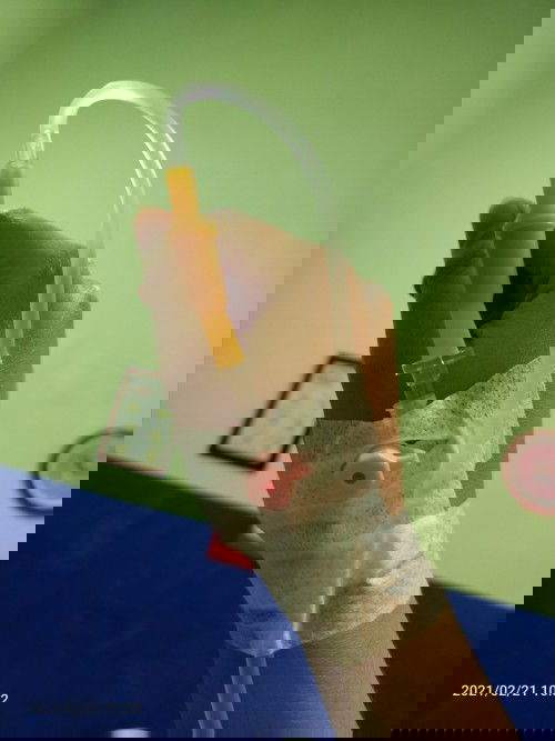 menjelang persalinan