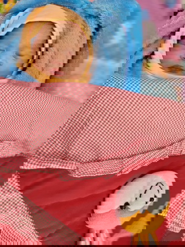 Bayi BBLR & cukup bulan