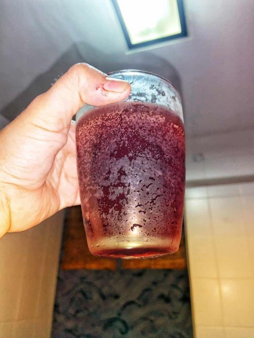 Kombucha drinking time