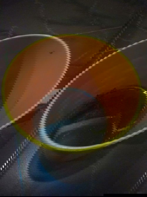 Hamil 9 week boleh gga sih minum teh pait hangat Bun?? 🙏🙏 Soal nya saya sering mual ,