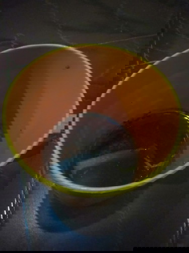 Hamil 9 week boleh gga sih minum teh pait hangat Bun?? ππ Soal nya saya sering mual ,