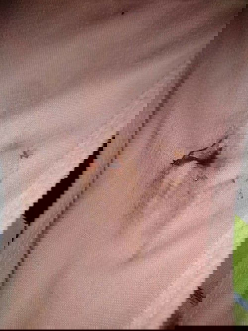 แบบนี้ท้องหรือป่าวคะ