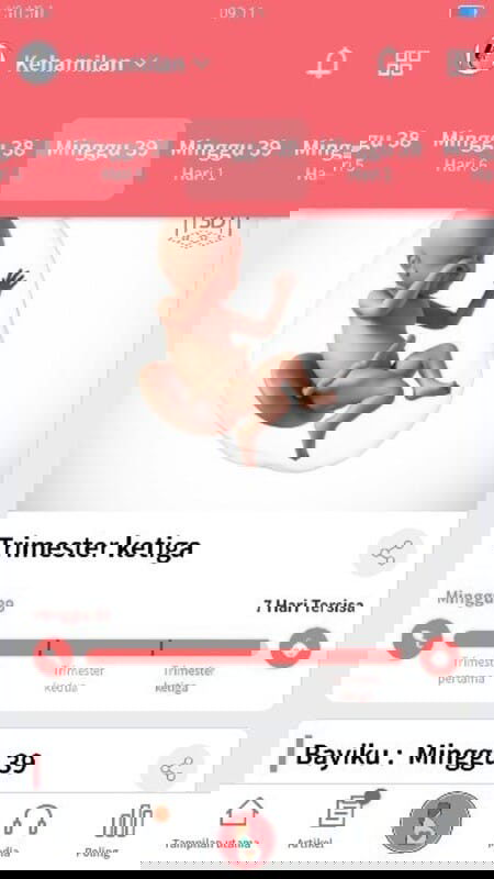 Menunggu gelombang cinta
