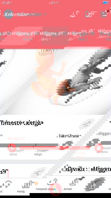 Menunggu gelombang cinta