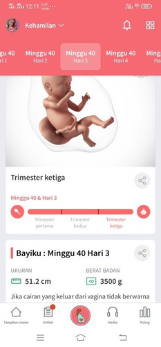 Menanti gelombang cinta
