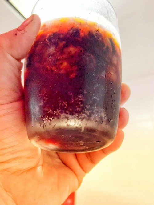 Kombucha drinking time