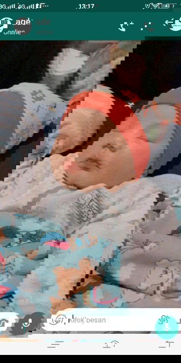 BAYI 2 MINGGU MSH KUNING