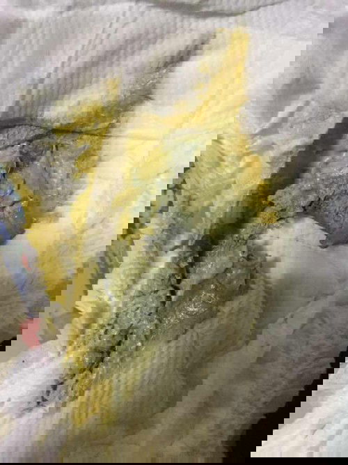 แบบนี้แพ้นมหรือป่าวคะ😂