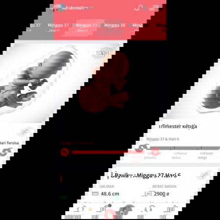 Menunggu Kontraksi asli