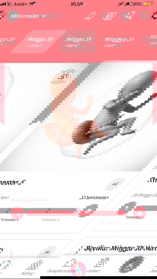 Menunggu gelombang cinta