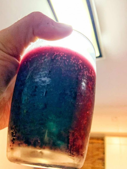 Kombucha time
