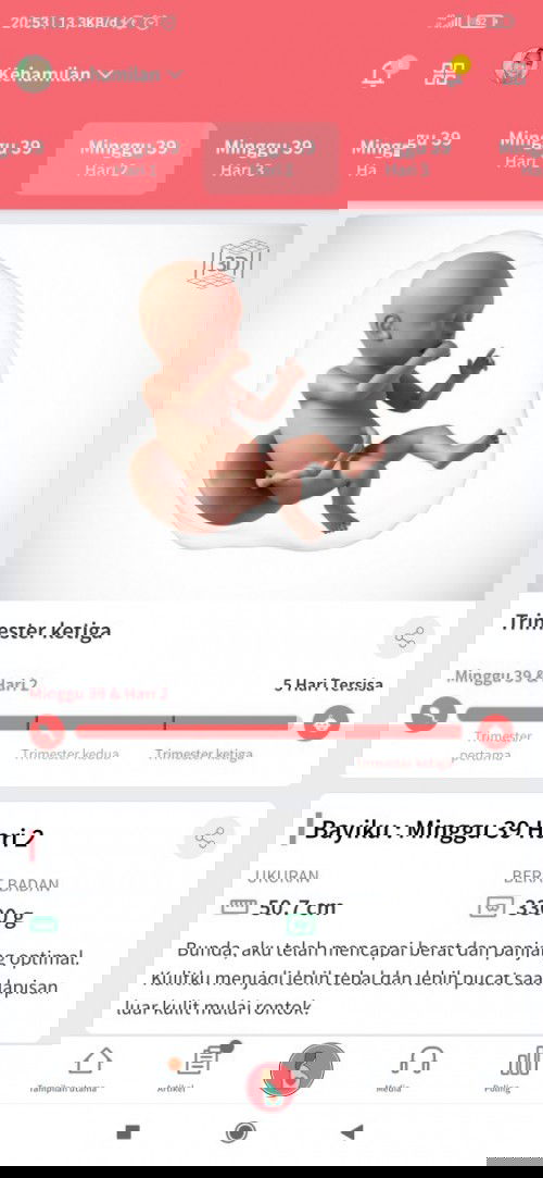 Hari perkiraan lahir