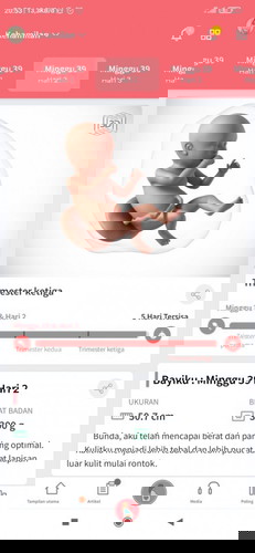 Hari perkiraan lahir